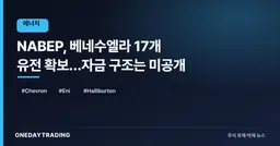 NABEP, 베네수엘라 17개 유전 확보…자금 구조는 미공개