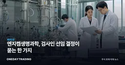엔지켐생명과학, 검사인 선임 결정이 묻는 한 가지