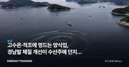 고수온·적조에 멍드는 양식업, 경남발 체질 개선이 수산주에 던지는 신호