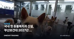 국내 첫 동물복지과 신설, 부산보건대 2027년 첫 신입생…반려동물 산업 신호탄