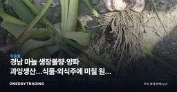 경남 마늘 생장불량·양파 과잉생산…식품·외식주에 미칠 원가 변수 점검