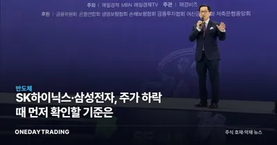 SK하이닉스·삼성전자, 주가 하락 때 먼저 확인할 기준은