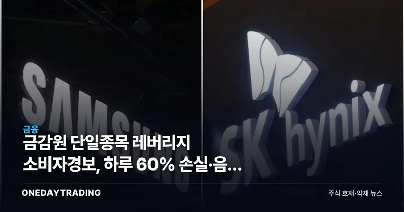 금감원 단일종목 레버리지 소비자경보, 하루 60% 손실·음의 복리 리스크 분석