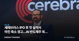 세레브라스 IPO 후 첫 실적서 마진 축소 경고…AI 반도체주 옥석 가리기