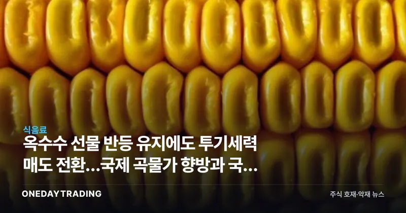 옥수수 선물 반등 유지에도 투기세력 매도 전환…국제 곡물가 향방과 국내 사료·식품주 영향
