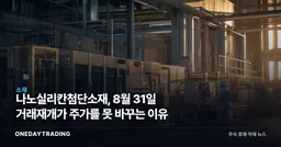 나노실리칸첨단소재, 8월 31일 거래재개가 주가를 못 바꾸는 이유