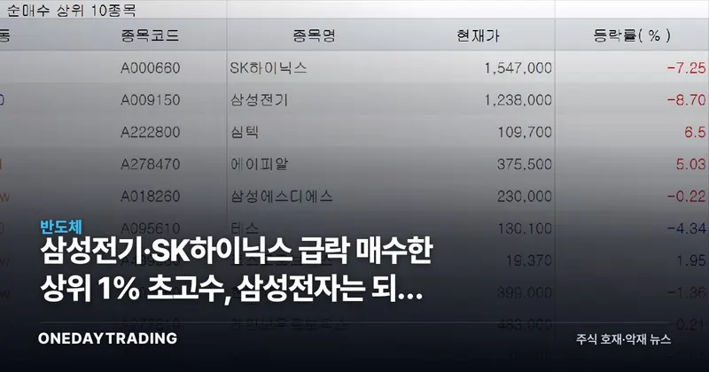 삼성전기·SK하이닉스 급락 매수한 상위 1% 초고수, 삼성전자는 되레 팔았다