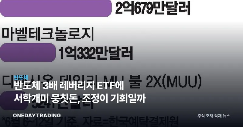 반도체 3배 레버리지 ETF에 서학개미 뭉칫돈, 조정이 기회일까