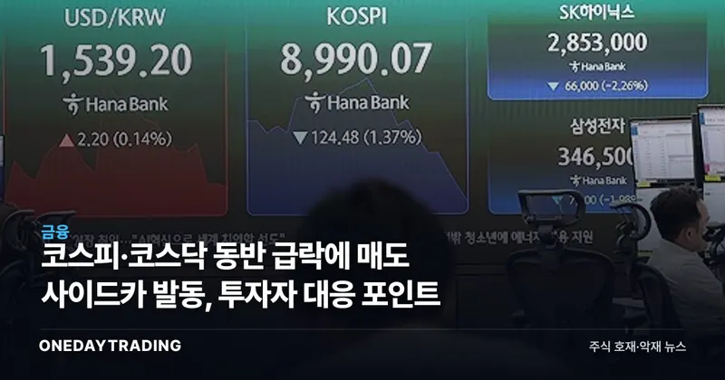 코스피·코스닥 동반 급락에 매도 사이드카 발동, 투자자 대응 포인트