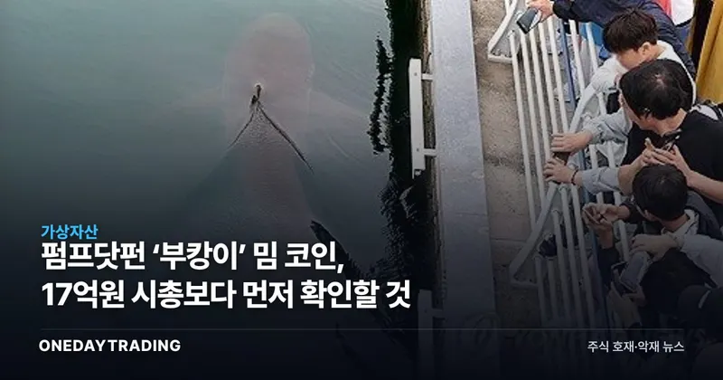 펌프닷펀 ‘부캉이’ 밈 코인, 17억원 시총보다 먼저 확인할 것