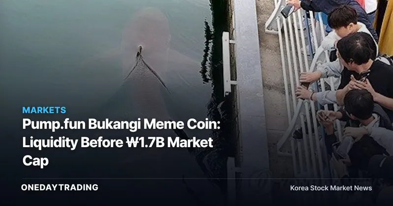 Pump.fun Bukangi Meme Coin: Liquidity Before ₩1.7B Market Cap