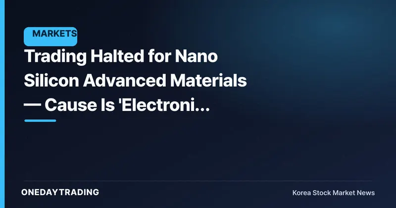 Trading Halted for Nano Silicon Advanced Materials — Cause Is 'Electronic Registration Change,' Not Earnings Woes