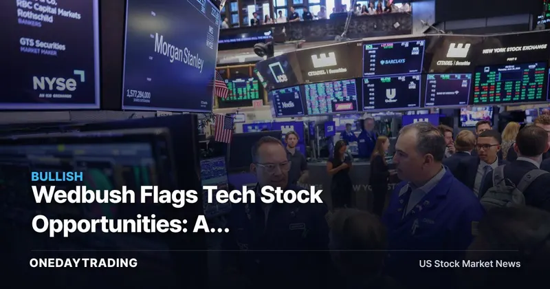 Wedbush Flags Tech Stock Opportunities: AI Infrastructure Names NVDA, MSFT, PLTR in Focus