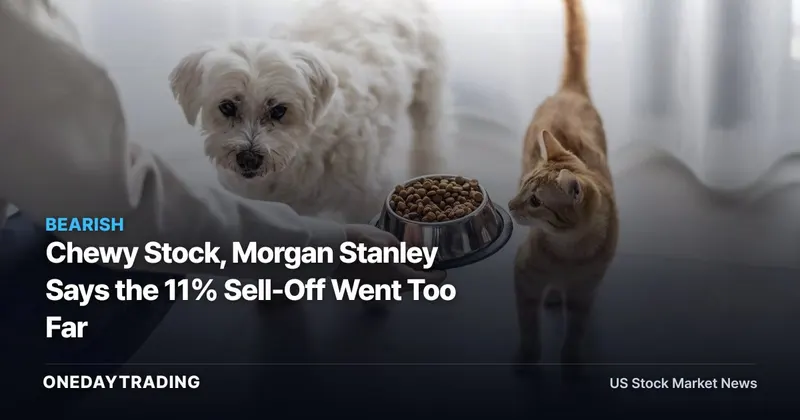 Chewy Stock, Morgan Stanley Says the 11% Sell-Off Went Too Far