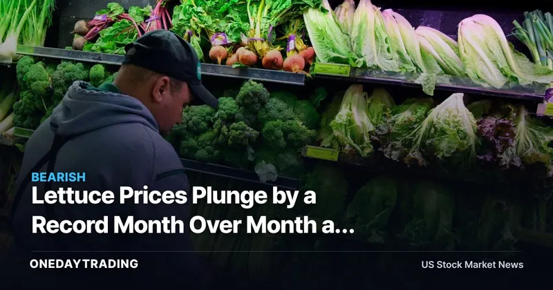 Lettuce Prices Plunge by a Record Month Over Month as Cyclospora Hits Demand