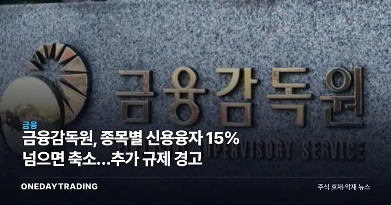 금융감독원, 종목별 신용융자 15% 넘으면 축소…추가 규제 경고