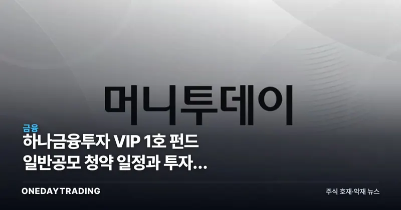 하나금융투자 VIP 1호 펀드 일반공모 청약 일정과 투자자 유의사항