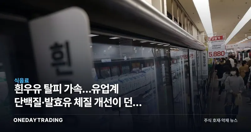 흰우유 탈피 가속…유업계 단백질·발효유 체질 개선이 던진 투자 신호