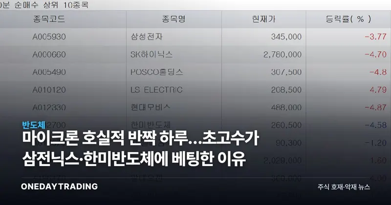 마이크론 호실적 반짝 하루…초고수가 삼전닉스·한미반도체에 베팅한 이유