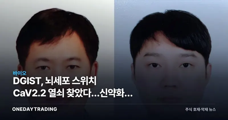 DGIST, 뇌세포 스위치 CaV2.2 열쇠 찾았다…신약화는 아직 먼 길