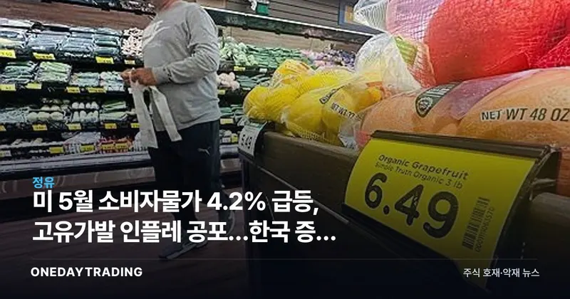 美 5월 소비자물가 4.2% 급등, 고유가발 인플레 공포…한국 증시 영향은