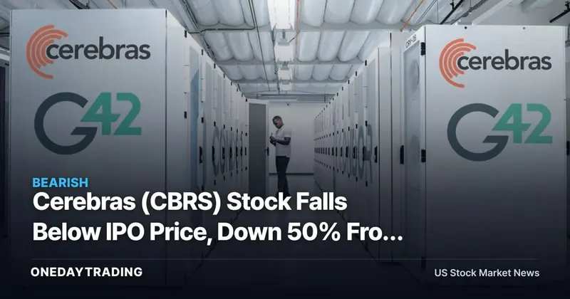 Cerebras (CBRS) Stock Falls Below IPO Price, Down 50% From Peak: AI Chip Risk
