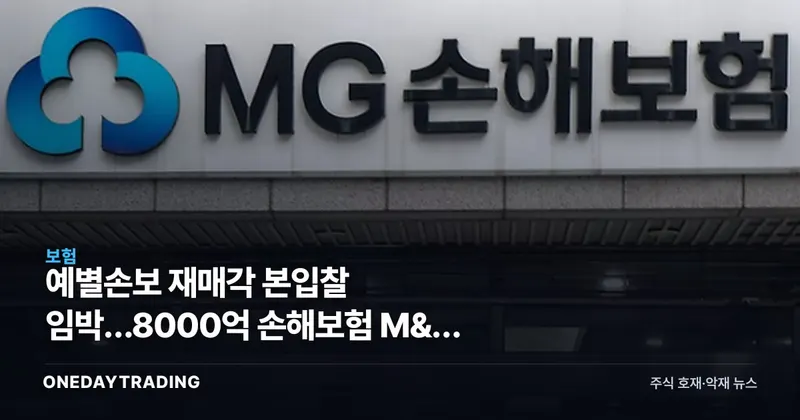 예별손보 재매각 본입찰 임박…8000억 손해보험 M&A 향방