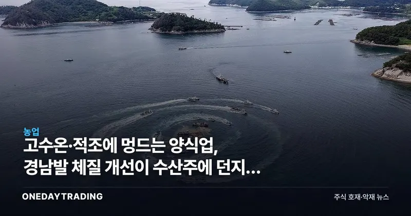 고수온·적조에 멍드는 양식업, 경남발 체질 개선이 수산주에 던지는 신호