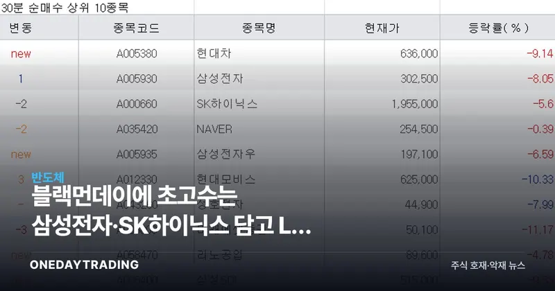 블랙먼데이에 초고수는 삼성전자·SK하이닉스 담고 LG 팔았다, 반도체 투톱 매수 신호