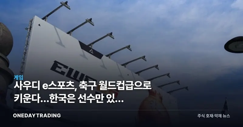 사우디 e스포츠, 축구 월드컵급으로 키운다…한국은 선수만 있고 '리그'가 없다