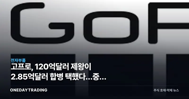 고프로, 120억달러 제왕이 2.85억달러 합병 택했다…중국 액션캠의 역습
