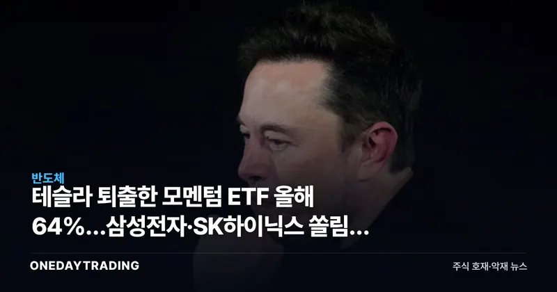 테슬라 퇴출한 모멘텀 ETF 올해 64%…삼성전자·SK하이닉스 쏠림의 빛과 그림자