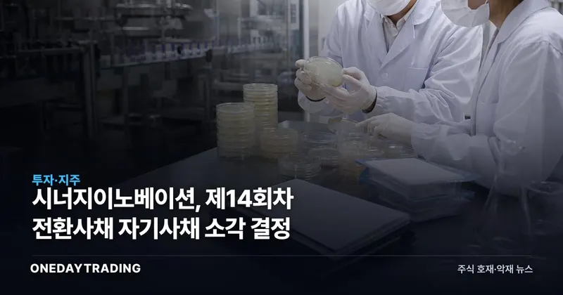 시너지이노베이션, 제14회차 전환사채 자기사채 소각 결정