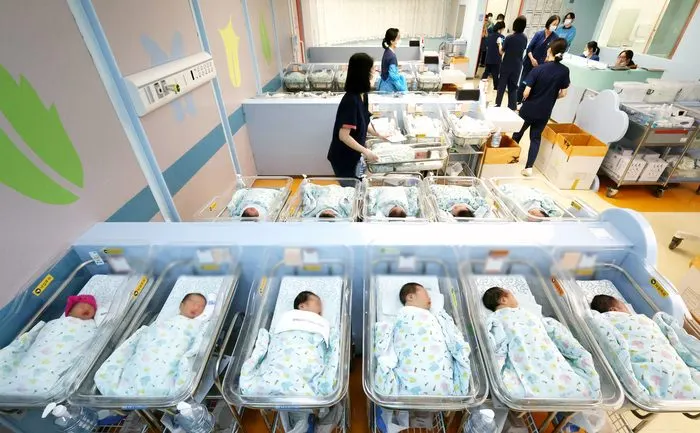한국 1분기 출생아 역대 최대폭 증가, 저출산 반등 신호와 수혜 업종 분석