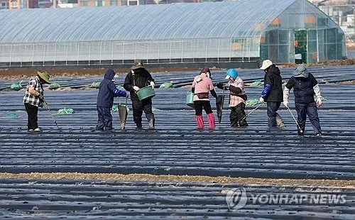 농어촌 숙련 외국인(E-7-4) 고용한도 30→50% 확대, 인력난 해소 기대