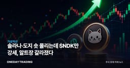 솔라나·도지 숏 몰리는데 SNDK만 강세, 알트장 갈라졌다