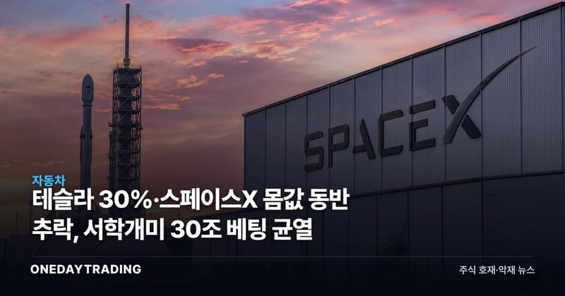 테슬라 30%·스페이스X 몸값 동반 추락, 서학개미 30조 베팅 균열