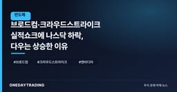 브로드컴·크라우드스트라이크 실적쇼크에 나스닥 하락, 다우는 상승한 이유