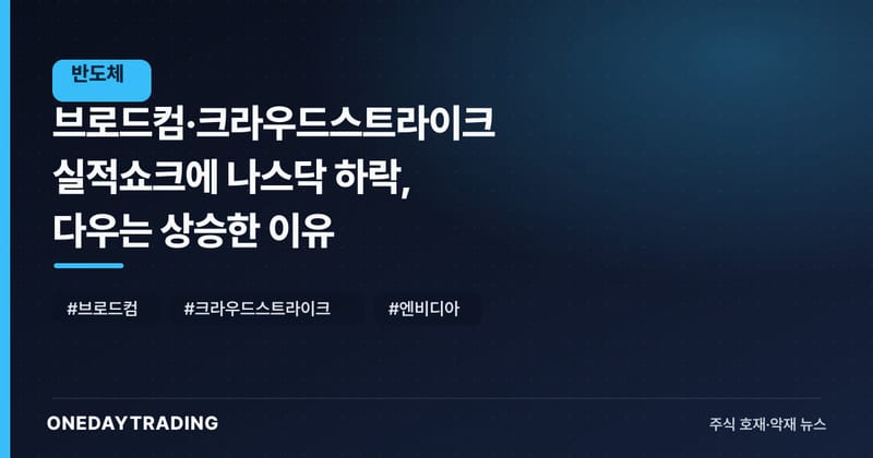 브로드컴·크라우드스트라이크 실적쇼크에 나스닥 하락, 다우는 상승한 이유