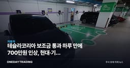 테슬라코리아 보조금 통과 하루 만에 700만원 인상, 현대·기아 반사이익 생기나