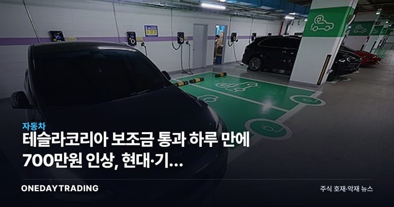 테슬라코리아 보조금 통과 하루 만에 700만원 인상, 현대·기아 반사이익 생기나