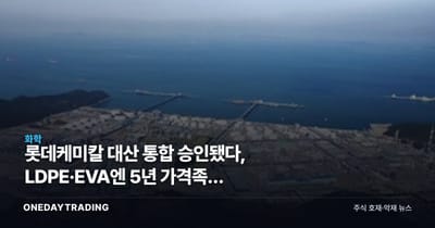 롯데케미칼 대산 통합 승인됐다, LDPE·EVA엔 5년 가격족쇄 걸렸다