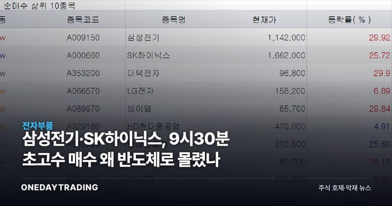 삼성전기·SK하이닉스, 9시30분 초고수 매수 왜 반도체로 몰렸나