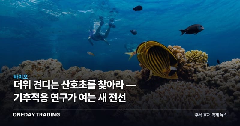 더위 견디는 산호초를 찾아라 — 기후적응 연구가 여는 새 전선