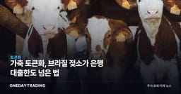 가축 토큰화, 브라질 젖소가 은행 대출한도 넘은 법