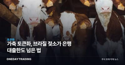 가축 토큰화, 브라질 젖소가 은행 대출한도 넘은 법