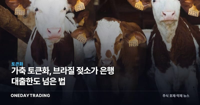 가축 토큰화, 브라질 젖소가 은행 대출한도 넘은 법
