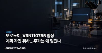 보로노이, VRN110755 임상 계획 자진 취하…주가는 왜 멈췄나