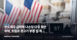 반도체주 급락에 나스닥·다우 동반 하락, 트럼프 경고가 부른 칩 섹터 조정 분석