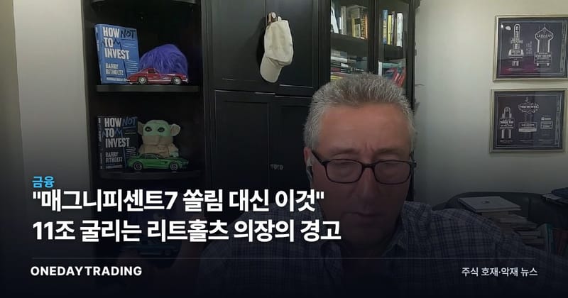 "매그니피센트7 쏠림 대신 이것" 11조 굴리는 리트홀츠 의장의 경고